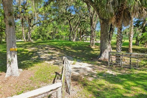 Terrain à vendre à Floral City, Floride № 2277898 - photo 6