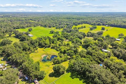 Land in Floral City, Florida № 2277898