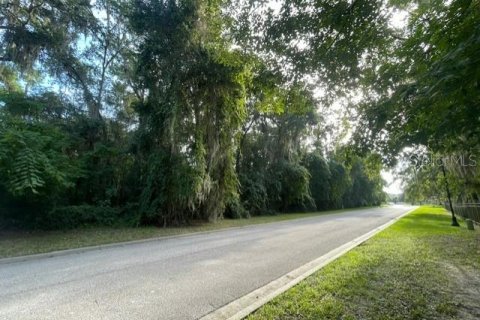 Terreno en venta en Ocala, Florida № 1913979 - foto 4
