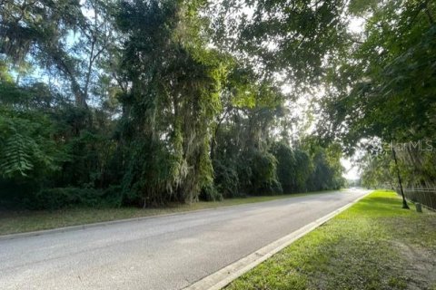 Terreno en venta en Ocala, Florida № 1913979 - foto 6