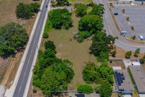 Terreno en venta en Riverview, Florida № 2314231 - foto 14