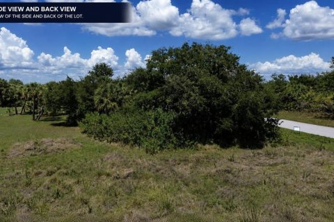 Land in Rotonda, Florida № 2158667 - photo 9