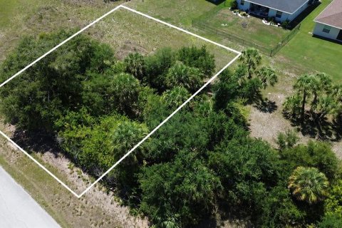 Land in Rotonda, Florida № 2158667 - photo 5