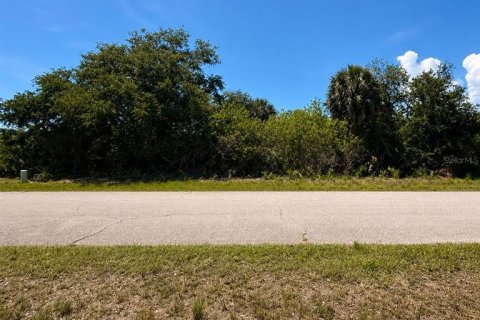 Land in Rotonda, Florida № 2158667 - photo 7
