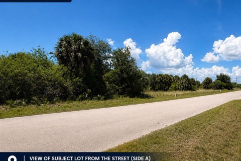 Land in Rotonda, Florida № 2158667 - photo 6