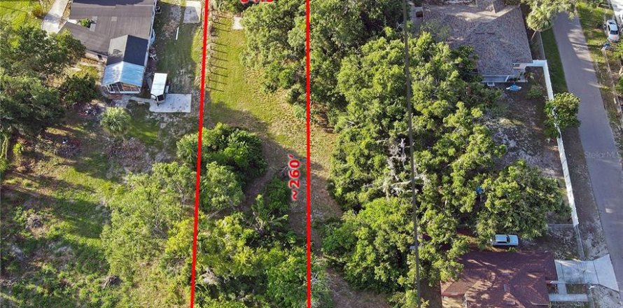 Land in Tampa, Florida № 1786822