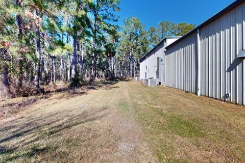 Immobilier commercial à louer à Gainesville, Floride: 3994.8 m2 № 2148466 - photo 17