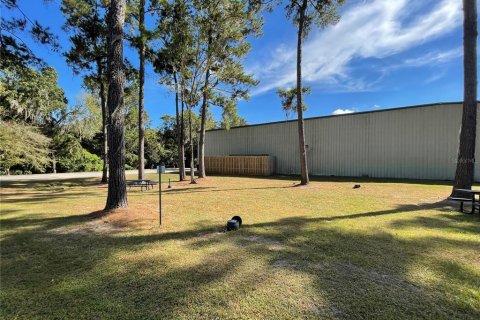 Immobilier commercial à louer à Gainesville, Floride: 3994.8 m2 № 2148466 - photo 3