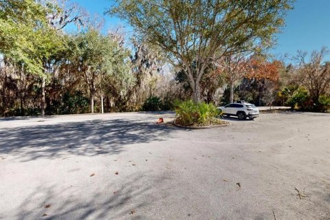 Immobilier commercial à louer à Gainesville, Floride: 3994.8 m2 № 2148466 - photo 29