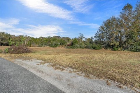 Terreno en venta en Inverness, Florida № 1918896 - foto 9