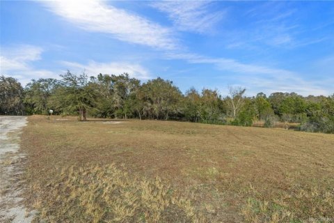 Terreno en venta en Inverness, Florida № 1918896 - foto 7