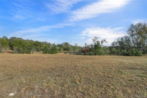 Terreno en venta en Inverness, Florida № 1918896 - foto 6