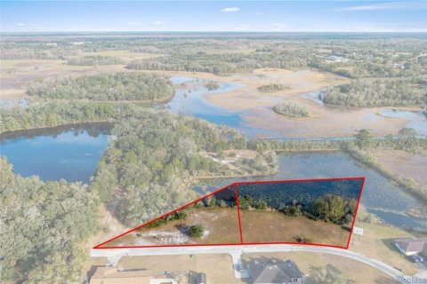 Terreno en venta en Inverness, Florida № 1918896 - foto 2