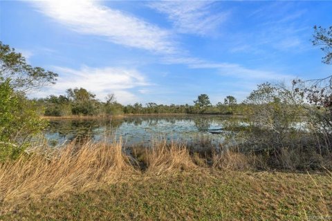 Terreno en venta en Inverness, Florida № 1918896 - foto 5