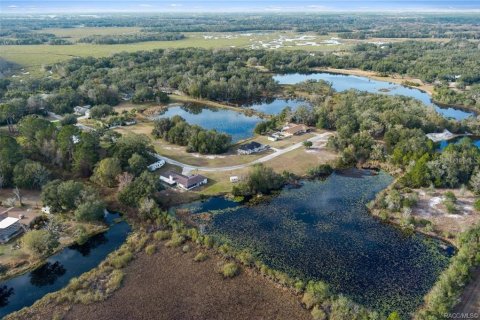 Terreno en venta en Inverness, Florida № 1918896 - foto 4