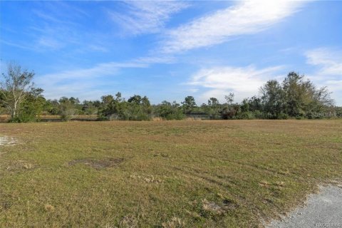 Terreno en venta en Inverness, Florida № 1918896 - foto 8