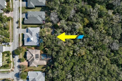 House in Palm Coast, Florida 3 bedrooms, 201.78 sq.m. № 1036330 - photo 8