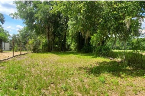 Terrain à vendre à Dunnellon, Floride № 1422863 - photo 8
