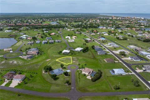 Land in Punta Gorda, Florida № 2158761 - photo 11