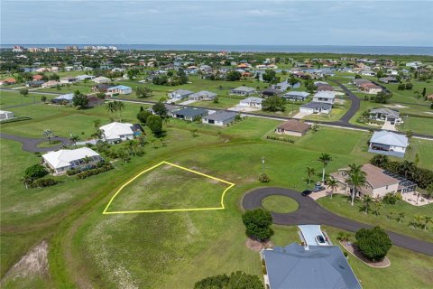 Land in Punta Gorda, Florida № 2158761 - photo 4