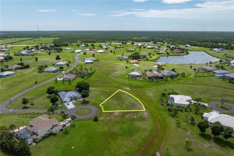 Land in Punta Gorda, Florida № 2158761 - photo 9