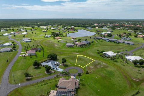Land in Punta Gorda, Florida № 2158761 - photo 10