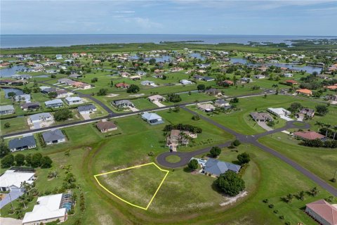Land in Punta Gorda, Florida № 2158761 - photo 6