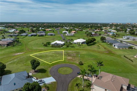 Land in Punta Gorda, Florida № 2158761 - photo 3