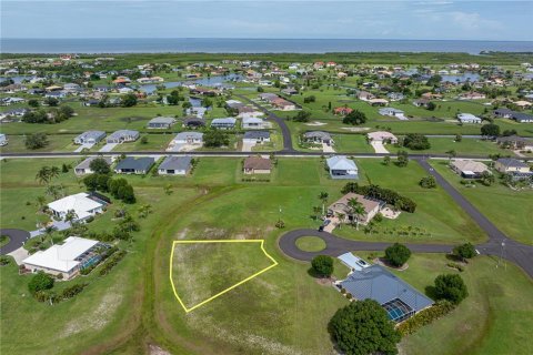 Land in Punta Gorda, Florida № 2158761 - photo 5