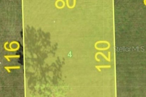 Terreno en Punta Gorda, Florida № 2104185