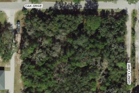 Terreno en venta en Hudson, Florida № 1746392 - foto 2
