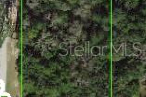 Terreno en venta en Hudson, Florida № 1746392 - foto 4