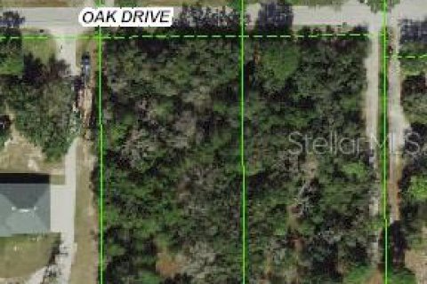 Terreno en venta en Hudson, Florida № 1746392 - foto 1