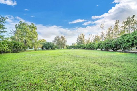 Land in Davie, Florida № 860598 - photo 1