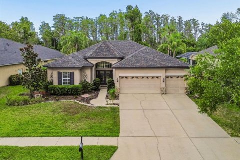 Villa ou maison à Land O' Lakes, Floride 4 chambres, 251.39 m2 № 2150649