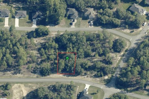 Land in Citrus Springs, Florida № 2164283