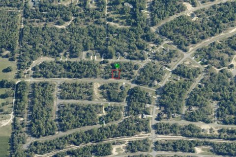 Land in Citrus Springs, Florida № 2164283 - photo 2