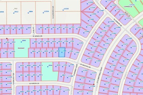 Land in Citrus Springs, Florida № 2164283 - photo 4