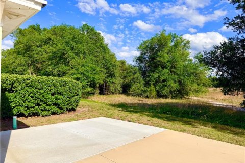 Land in Webster, Florida № 2166695 - photo 4
