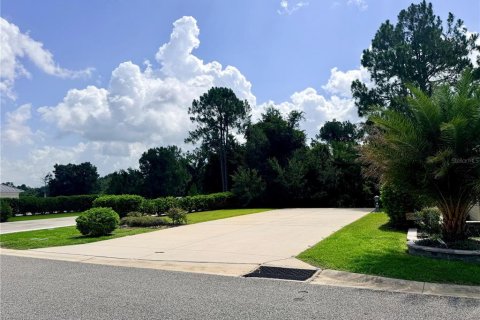 Land in Webster, Florida № 2209869 - photo 2