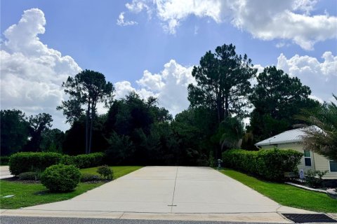 Land in Webster, Florida № 2209869 - photo 5
