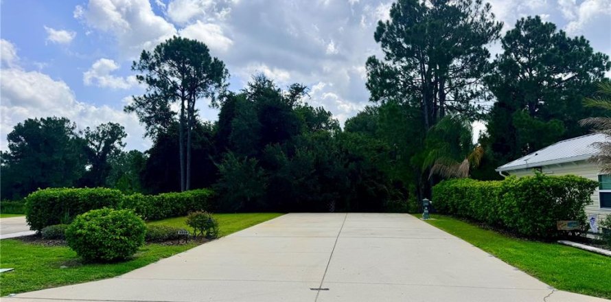 Land in Webster, Florida № 2209869