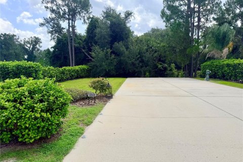 Land in Webster, Florida № 2209869 - photo 3