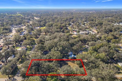 Land in Zephyrhills, Florida № 1554765 - photo 14