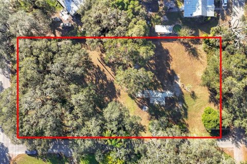 Land in Zephyrhills, Florida № 1554765 - photo 1