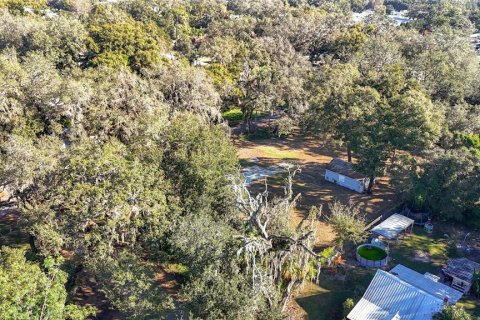 Land in Zephyrhills, Florida № 1554765 - photo 24