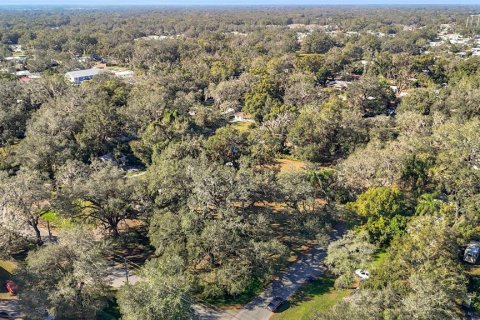 Land in Zephyrhills, Florida № 1554765 - photo 19