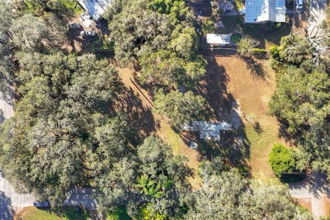 Land in Zephyrhills, Florida № 1554765 - photo 6