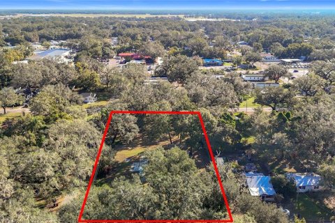 Land in Zephyrhills, Florida № 1554765 - photo 28