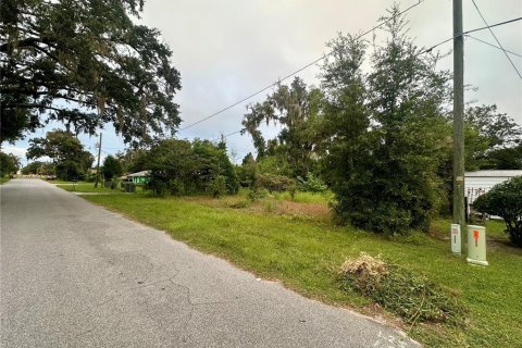 Land in Ocala, Florida № 2393746